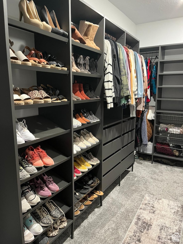 40 E 200 N, Castle Dale, UT 84513 - view of walk in closet