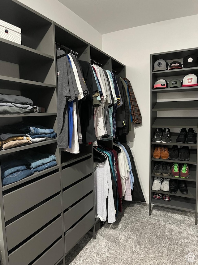 40 E 200 N, Castle Dale, UT 84513 - walk in closet featuring light colored carpet