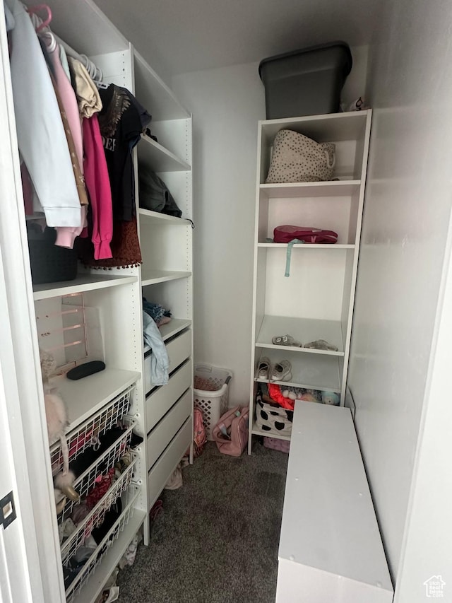 40 E 200 N, Castle Dale, UT 84513 - spacious closet featuring carpet flooring