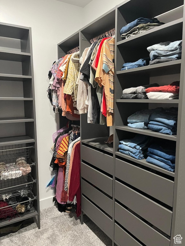 40 E 200 N, Castle Dale, UT 84513 - walk in closet with light carpet
