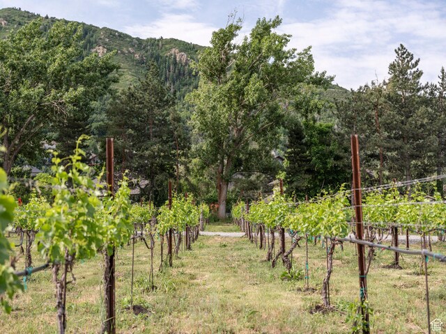 3759 E Quail Hill Ln Unit 103, Sandy, UT 84092