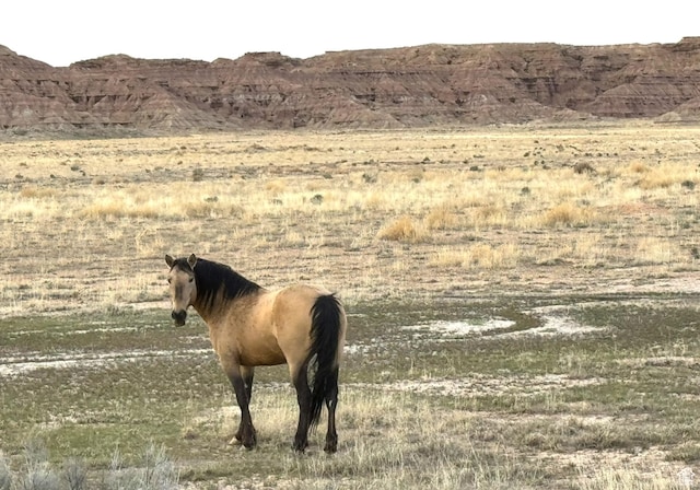 Vernal, UT 84078 - photo 43