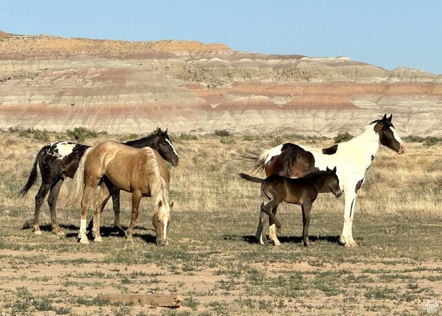 Vernal, UT 84078 - photo 32