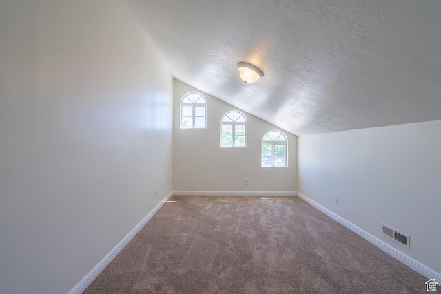 additional living space featuring carpet flooring, lofted ceiling, and a textured ceiling