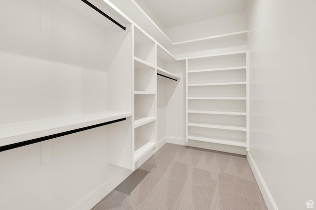 213 W 250 S Unit 15, Mapleton, UT 84664 - walk in closet featuring light carpet