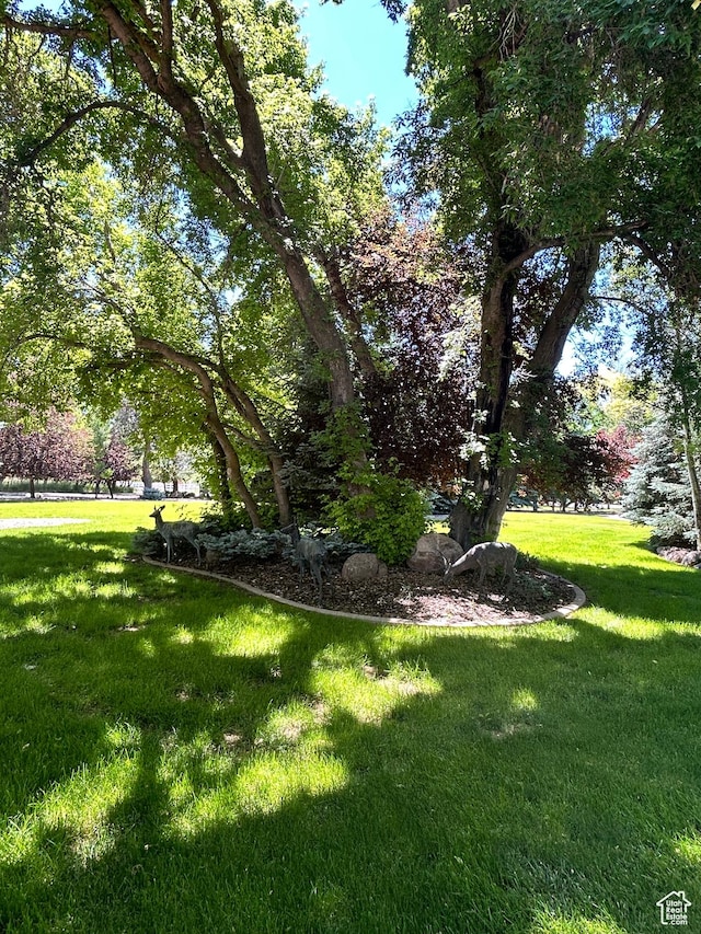 303 Rachel Ln S, New Harmony, UT 84757 - view of yard