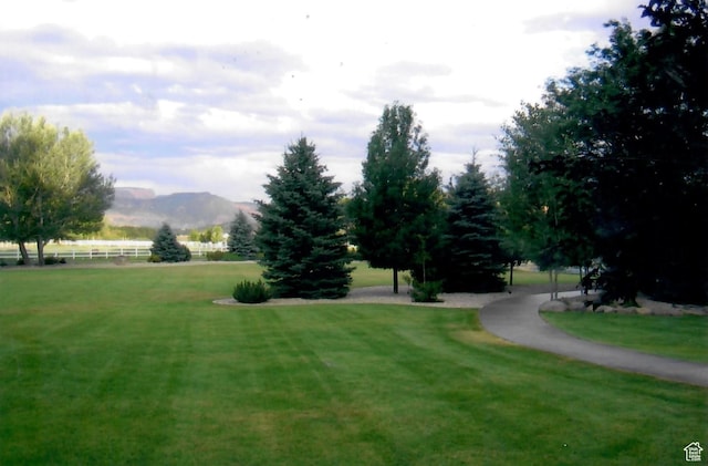 303 Rachel Ln S, New Harmony, UT 84757 - surrounding community with a mountain view and a yard