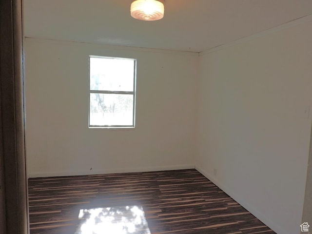 spare room featuring crown molding