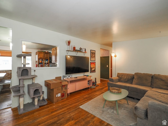living room with dark hardwood / wood-style floors