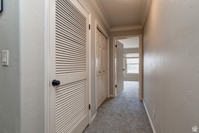 hall featuring ornamental molding and carpet flooring
