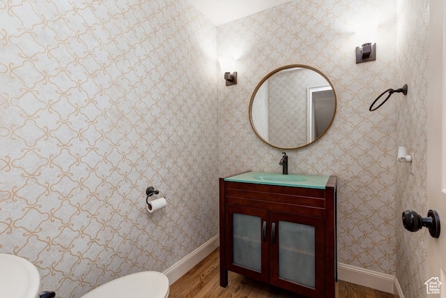 bathroom featuring vanity, toilet, and wood-type flooring