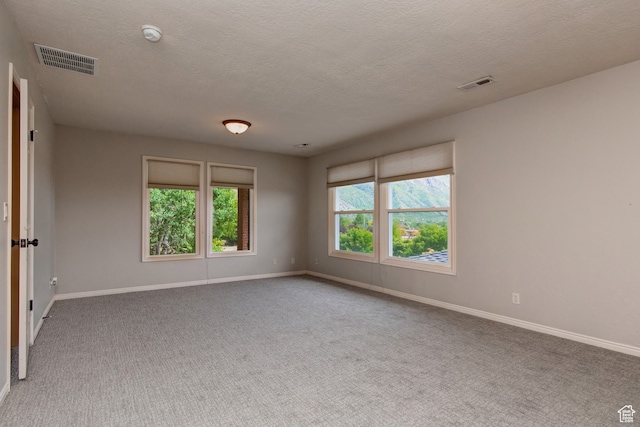 carpeted empty room with a textured ceiling