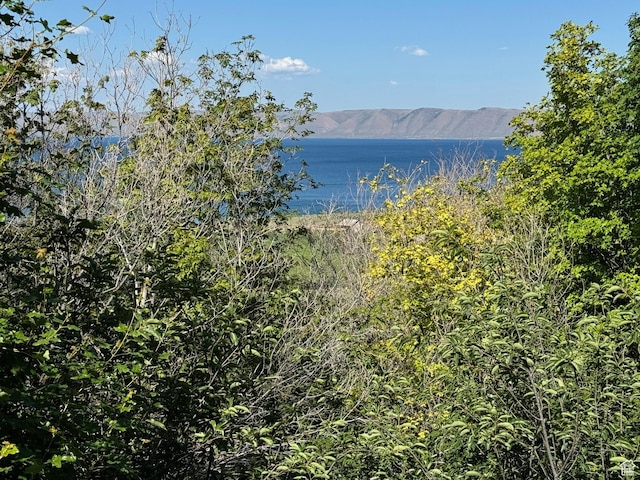1664 N Cisco Loop Unit El 12, Garden City, UT 84028 - photo 4