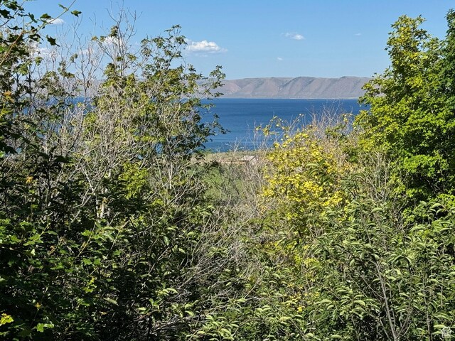 1668 N Cisco Loop Unit El 11, Garden City, UT 84028 - photo 1