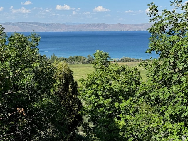 1668 N Cisco Loop Unit El 11, Garden City, UT 84028 - photo 4