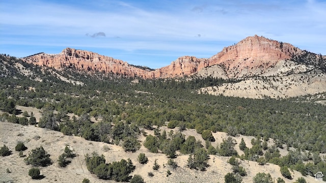 Tropic, UT 84776 - photo 4