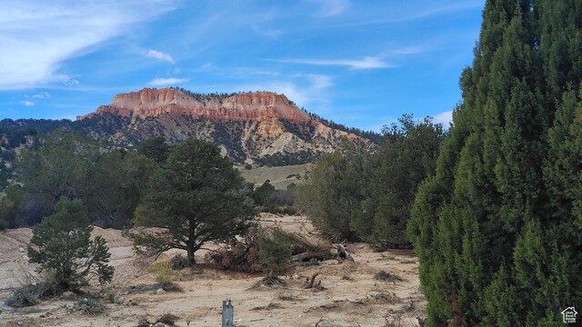 Tropic, UT 84776 - photo 6