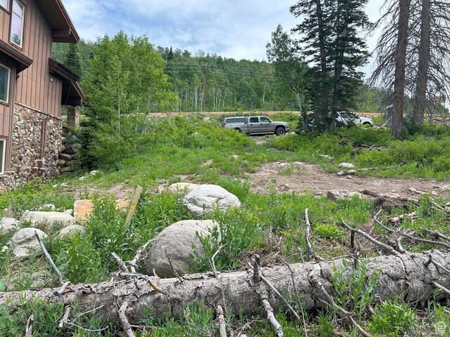 12176 E Big Cottonwood Canyon Rd, Brighton, UT 84121