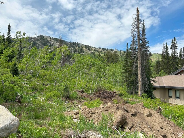 12176 E Big Cottonwood Canyon Rd, Brighton, UT 84121