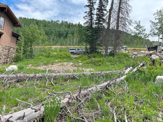 12176 E Big Cottonwood Canyon Rd, Brighton, UT 84121