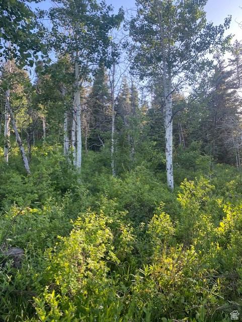 969 W Deep Forest Rd Unit D155, Wanship, UT 84017