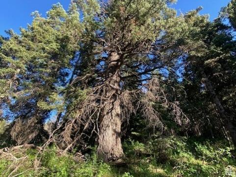 969 W Deep Forest Rd Unit D155, Wanship, UT 84017