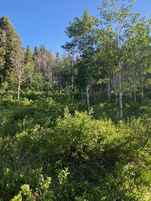 969 W Deep Forest Rd Unit D155, Wanship, UT 84017
