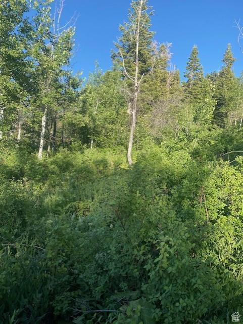 969 W Deep Forest Rd Unit D155, Wanship, UT 84017