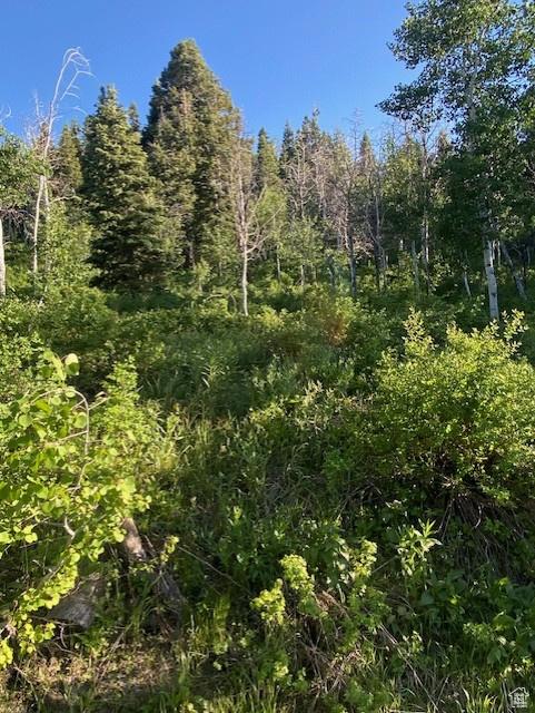 969 W Deep Forest Rd Unit D155, Wanship, UT 84017
