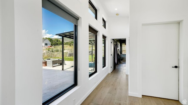 1245 E Draper Ln, Wallsburg, UT 84082 - hallway featuring light wood-type flooring and a wealth of natural light
