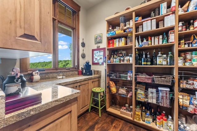 1355 W Red Hawk Trl Unit 35, Park City, UT 84098 - view of pantry