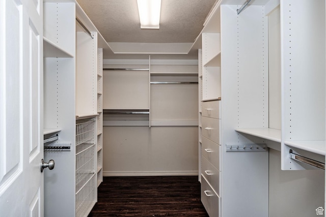 1387 E 260 N, Logan, UT 84321 - walk in closet with dark wood-type flooring