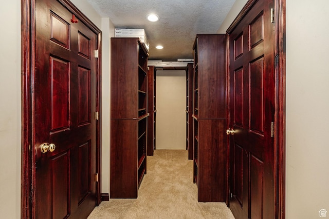 1387 E 260 N, Logan, UT 84321 - corridor featuring light carpet and a textured ceiling