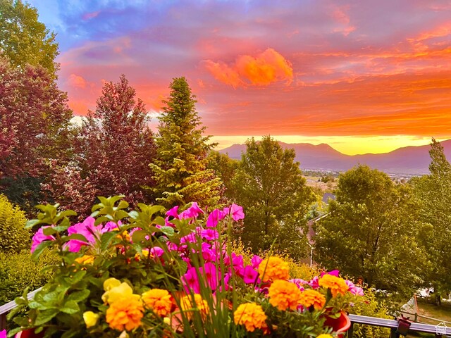 3128 E Hunters Ridge Way, Heber City, UT 84032 - yard at dusk featuring a mountain view