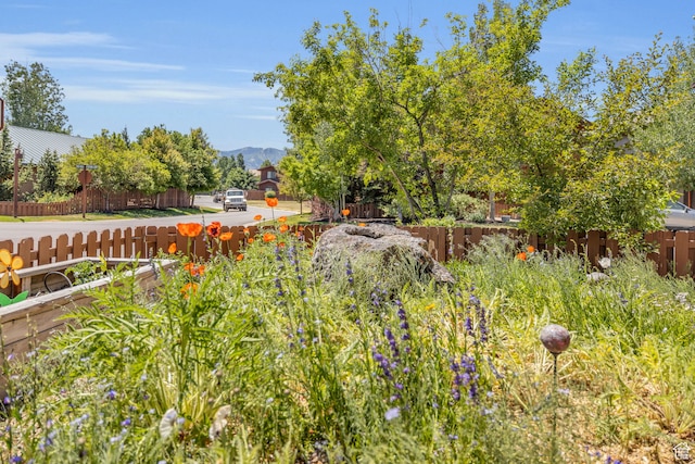 1126 Station Loop Rd, Park City, UT 84098 - view of yard with a mountain view