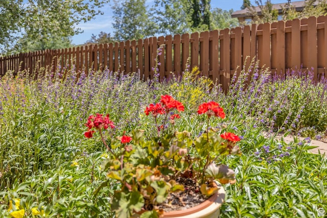 1126 Station Loop Rd, Park City, UT 84098 - view of yard