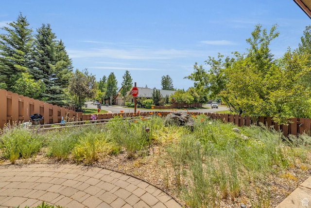 1126 Station Loop Rd, Park City, UT 84098 - view of yard