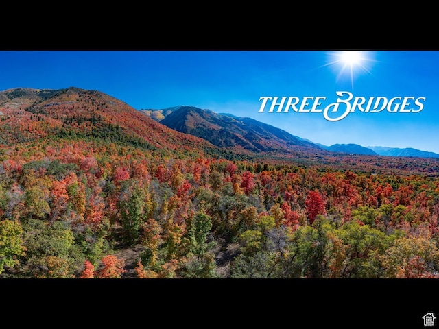 Unit 20, Salem, UT 84653
