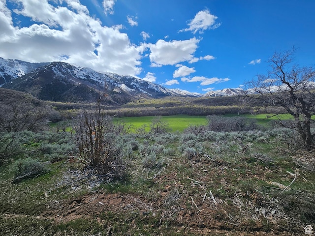 Unit 20, Salem, UT 84653