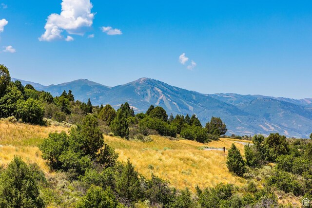 5725 E Rock Chuck Dr Unit 180, Heber City, UT 84032