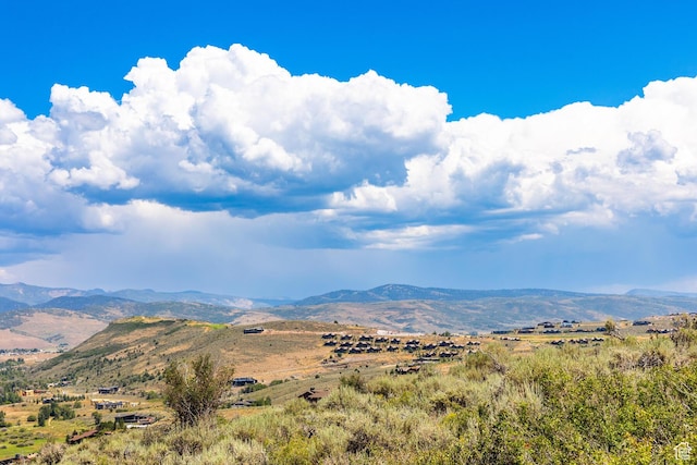 5725 E Rock Chuck Dr Unit 180, Heber City, UT 84032