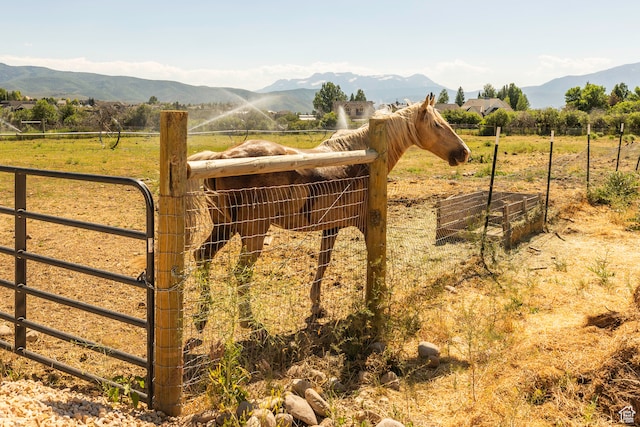 view of gate featuring a mountain view and a rural view