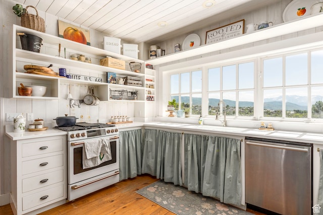 kitchen with a mountain view, light hardwood / wood-style flooring, dishwasher, sink, and gas range