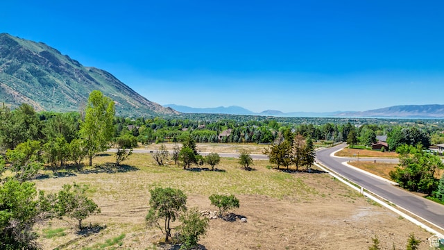 1462 N Grove Dr Unit 2, Alpine, UT 84004