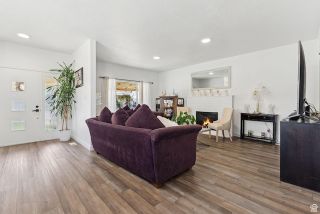 2977 S 8950 W, Magna, UT 84044 - living room with dark hardwood / wood-style floors
