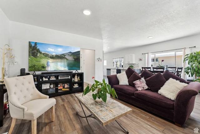2977 S 8950 W, Magna, UT 84044 - living room with a textured ceiling, hardwood / wood-style flooring, and plenty of natural light