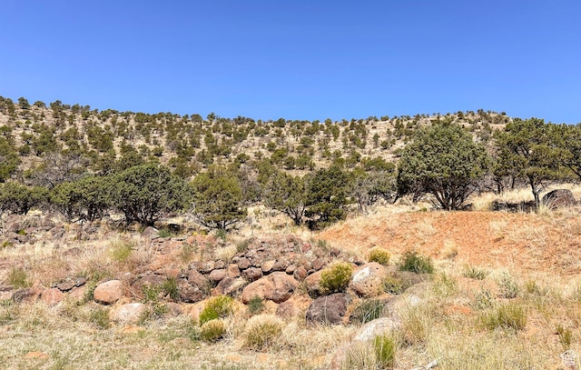 view of landscape