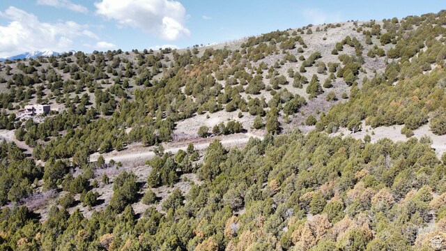 15102 S Shaggy Mountain Rd W, Herriman, UT 84096