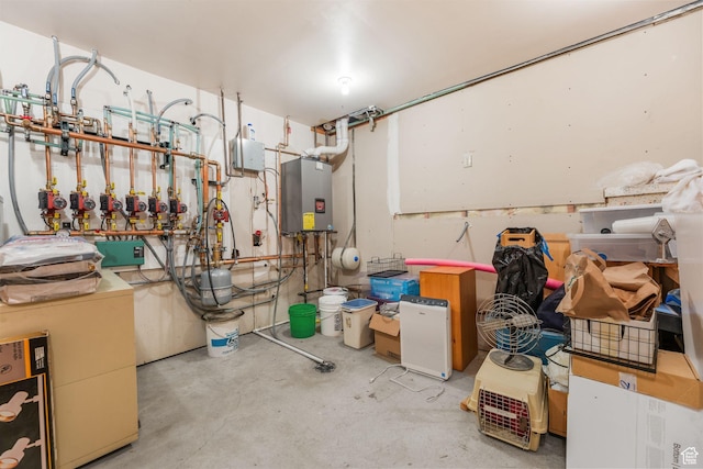 9443 E Wild Clematis Ln Unit 1, Brighton, UT 84121 - utilities featuring water heater