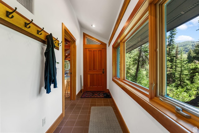 9443 E Wild Clematis Ln Unit 1, Brighton, UT 84121 - doorway with vaulted ceiling, dark tile patterned flooring, and baseboards